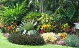 All Landscape Supplies Horticulturist