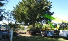 All Landscape Supplies Tree Management Services Kwikfynd